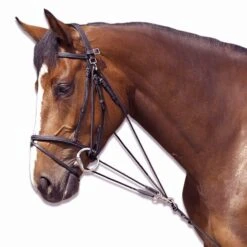 Horse Riding Schooling Gogue For Pony 29 Horse Riding Schooling Gogue For Pony -Pro Rider Shop k5bb49fe30b6ac042080beb9699d5f458