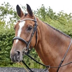 Lynton Snaffle Bridle With X2 Browbands -Pro Rider Shop k5c0f97be4fc26e500ea3fda1bc645e3f