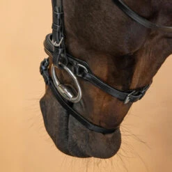 Horse Riding Glossy Leather Bridle With French Noseband For Horse & Pony 580 21 Horse Riding Glossy Leather Bridle With French Noseband For Horse & Pony 580 -Pro Rider Shop k5e8128219971bc630bbd670d41a0c118