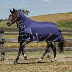 Weatherbeeta Comfitec Essential Combo Neck Horse Turnout Rug (Navy/Silver/Red) -Pro Rider Shop k5facd309623903f7dc0bcb8af75549cf