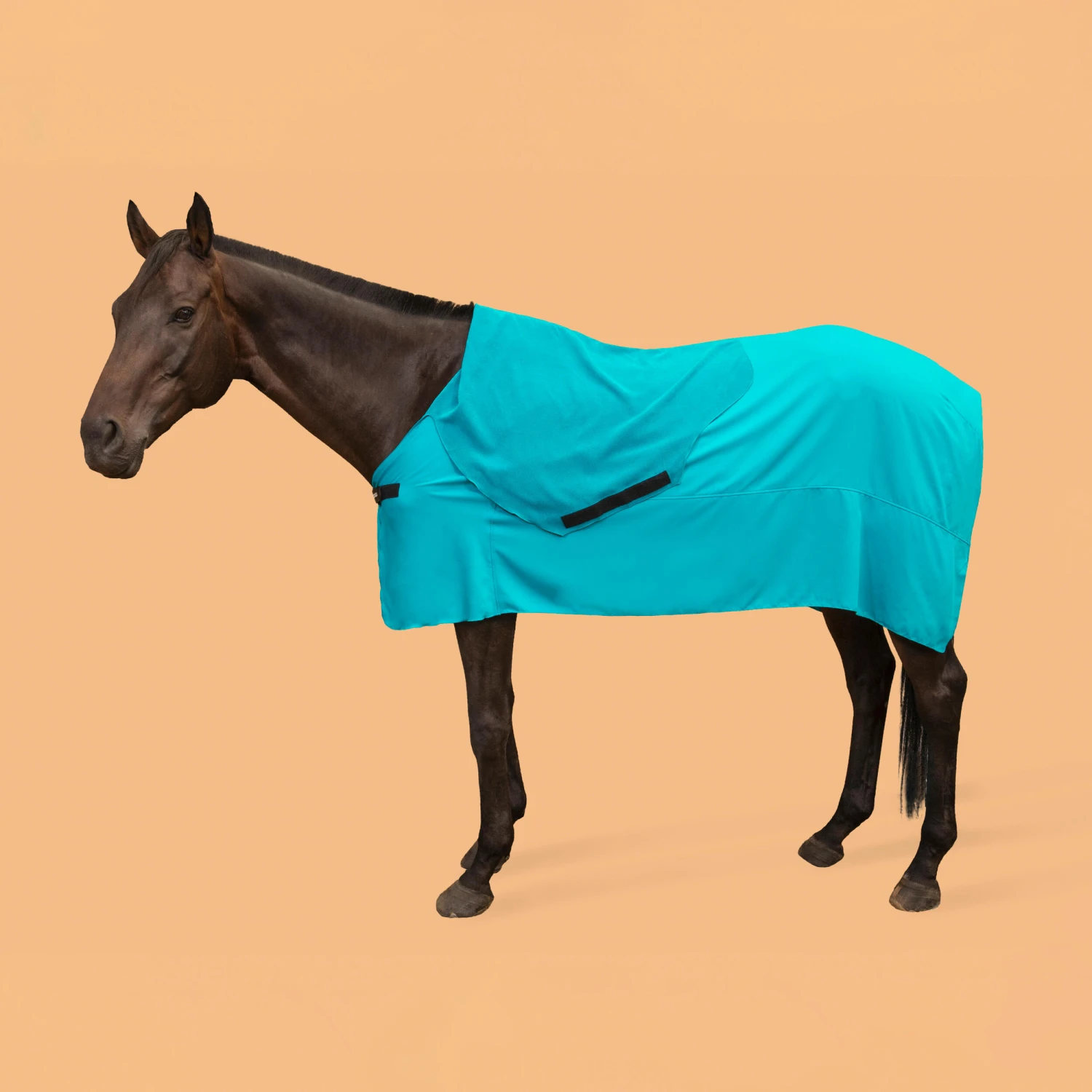 Horse Riding Full Microfibre Drying Sheet For Horse 2 Horse Riding Full Microfibre Drying Sheet For Horse - Image 2