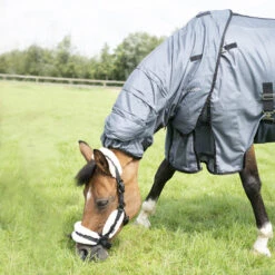 Horse Riding Fly Sheet For Horse & Pony Comfort -Pro Rider Shop k657db9d4165a0235219b81e03d6a4377