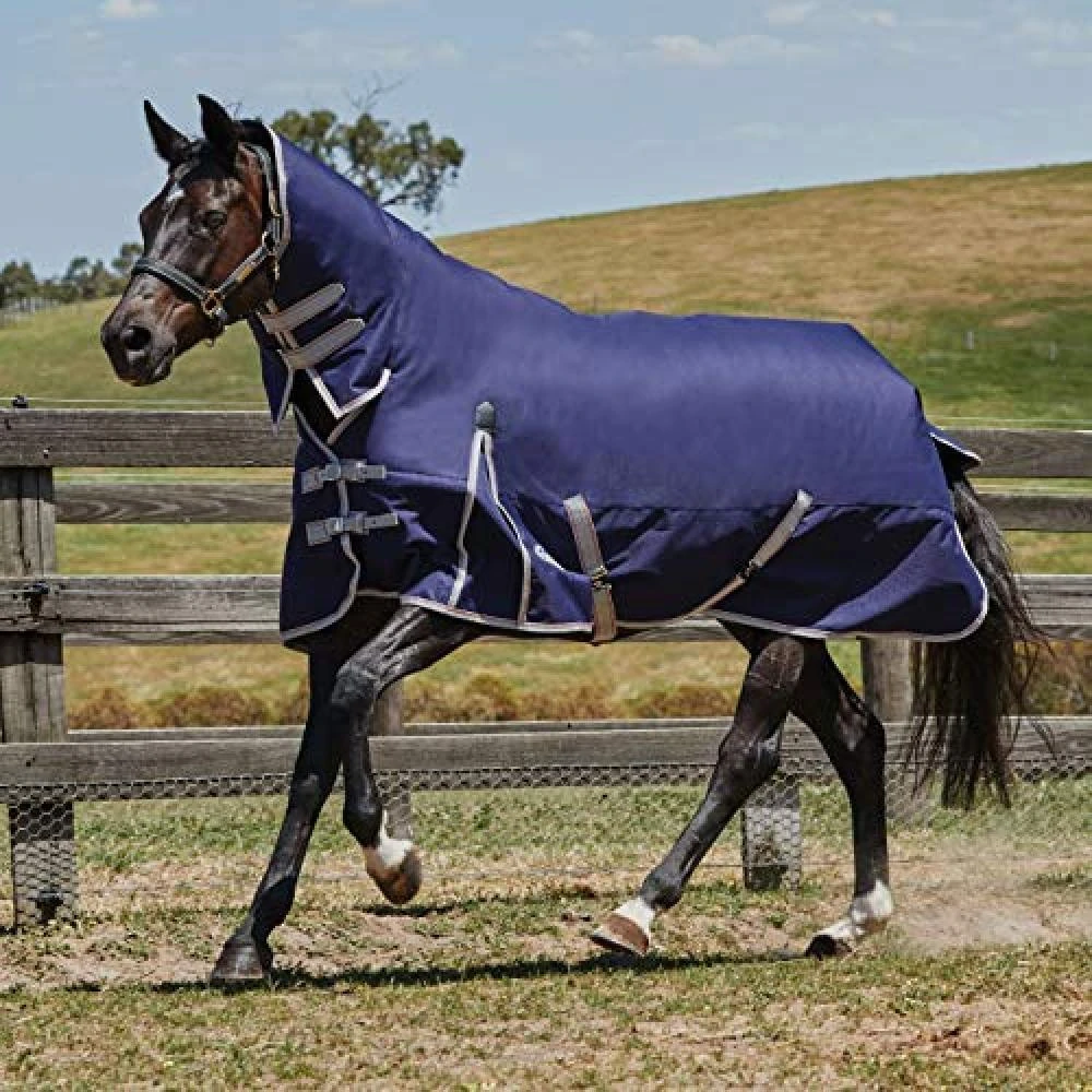 Weatherbeeta Comfitec Lite Essential Combo Neck Turnout Rug (Navy/Silver/Red) 2 Weatherbeeta Comfitec Lite Essential Combo Neck Turnout Rug (Navy/Silver/Red) - Image 2