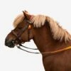 Horse Riding Synthetic Beginner Pony Bridle And Reins 100