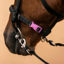 Horse Riding Synthetic Beginner Pony Bridle And Reins 100 27 Horse Riding Synthetic Beginner Pony Bridle And Reins 100 -Pro Rider Shop k6e2e7709eee6b445462869461b8d96b9