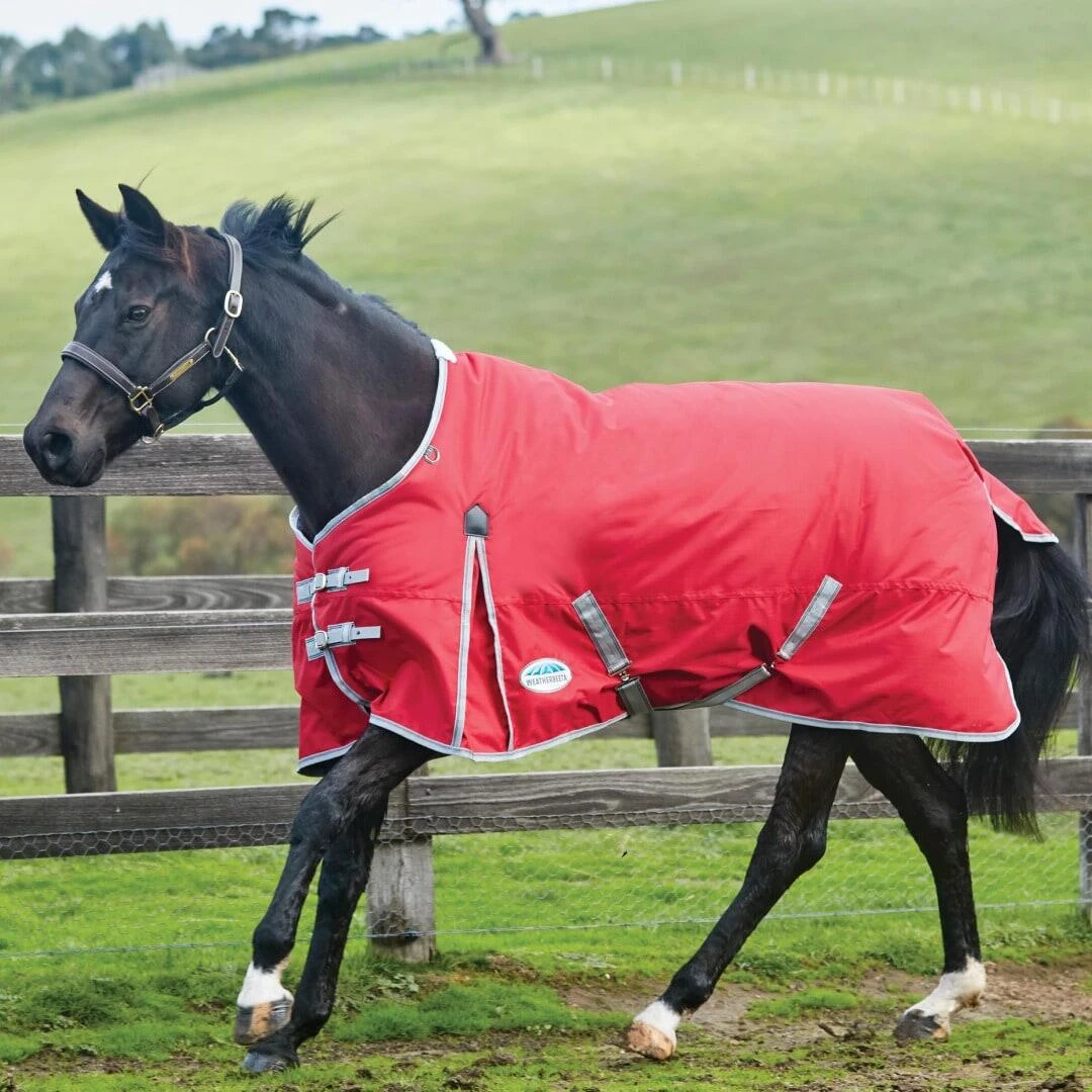 Weatherbeeta Comfitec Classic StandardNeck Medium Lightweight Horse Turnout Rug 2 Weatherbeeta Comfitec Classic StandardNeck Medium Lightweight Horse Turnout Rug - Image 2