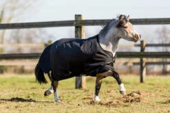 Imper 200 600D Horse Riding Rug For Pony 7 Imper 200 600D Horse Riding Rug For Pony -Pro Rider Shop k72553da92fba0ad289de357e43ae6f68