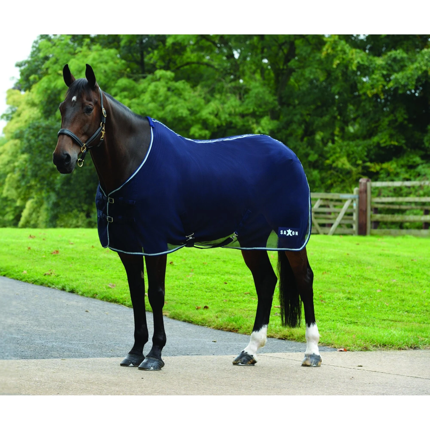 Saxon Element Standard Neck Net Cooler Rug (Navy/Blue) 2 Saxon Element Standard Neck Net Cooler Rug (Navy/Blue) - Image 2