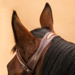 Horse Riding Crossed-Noseband Leather Bridle For Horse And Pony 580 29 Horse Riding Crossed-Noseband Leather Bridle For Horse And Pony 580 -Pro Rider Shop k778f073d82b694e019015e253781d159