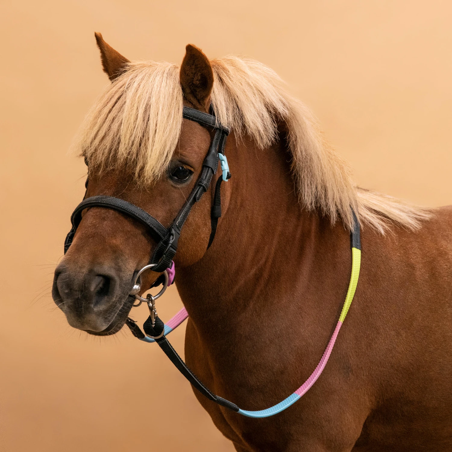 Horse Riding Synthetic Beginner Pony Bridle And Reins 100 9 Horse Riding Synthetic Beginner Pony Bridle And Reins 100 - Image 9