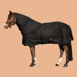 Horse Riding Waterproof Neck Cover For Horse Allweather 200 -Pro Rider Shop k79a6c813d16f92a2c608be54346e2839