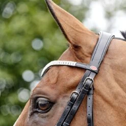 Lynton Snaffle Bridle With X2 Browbands -Pro Rider Shop k7a70aa478c428b393d6d6b742d2b08f1