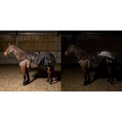 Sydney Reflective Exercise Sheet 6 Sydney Reflective Exercise Sheet -Pro Rider Shop k7d5ef6702a60d45315d7da5d24b3cf22