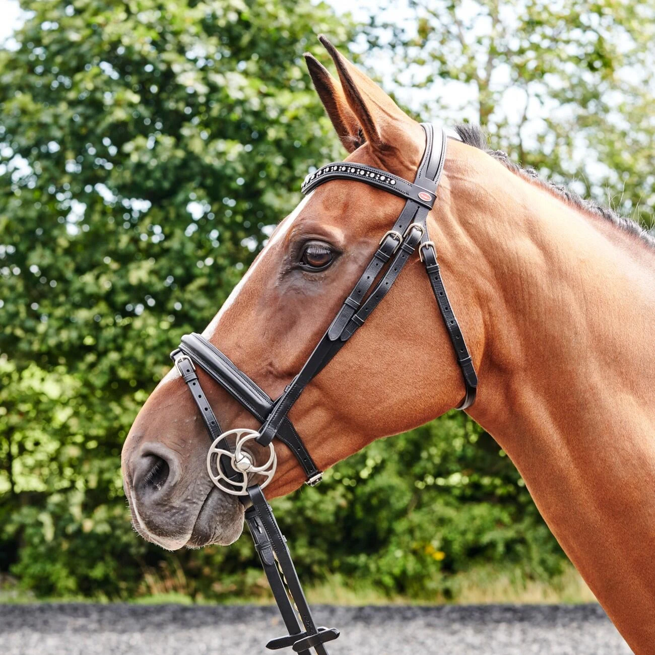 Lynton Flash Bridle With X2 Browbands 5 Lynton Flash Bridle With X2 Browbands - Image 5