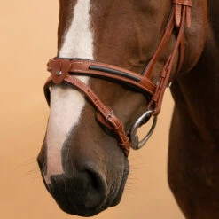 Horse Riding Leather Bridle With French Noseband For Horse & Pony 900 -Pro Rider Shop k83dfcdb2763578c0a3cfc92f5eaf782b