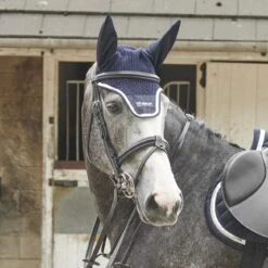 EASTWOOD CRANK BRIDLE INCLUDING REINS 8 EASTWOOD CRANK BRIDLE INCLUDING REINS -Pro Rider Shop k84eba477f536ba4221a08fe0df49ed3c