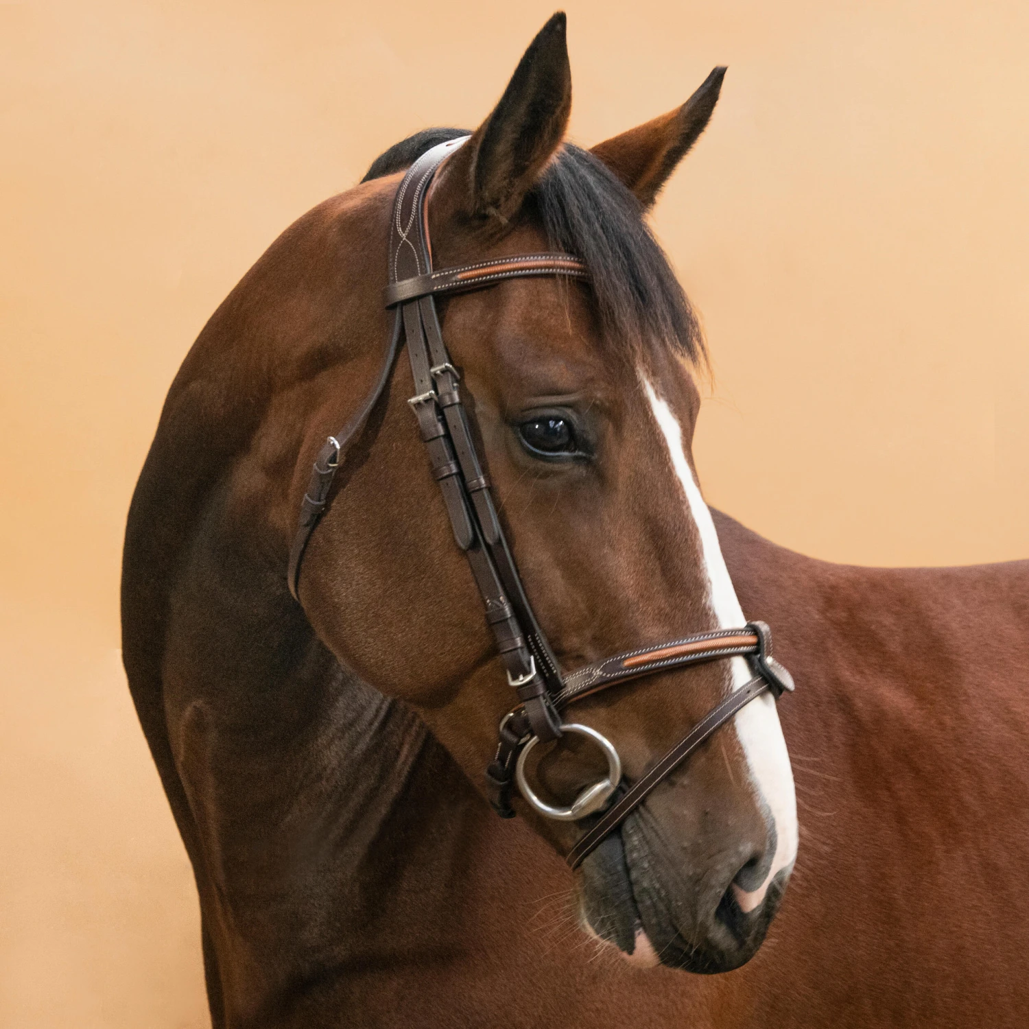 Horse & Pony Leather Bridle With French Noseband 580 11 Horse & Pony Leather Bridle With French Noseband 580 - Image 11