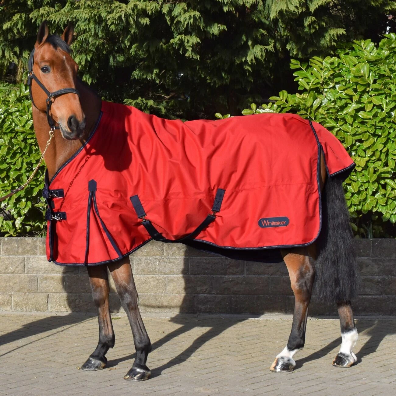 Rastrick 100g Lightweight Turnout Rug 3 Rastrick 100g Lightweight Turnout Rug - Image 3