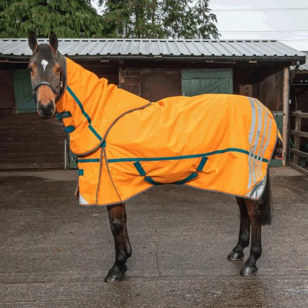 Seacroft High Visibility 200g Combo Turnout Rug 1 Seacroft High Visibility 200g Combo Turnout Rug