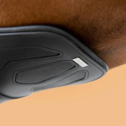 Horse Riding Leather Stud Girth For Horse And Pony 900 23 Horse Riding Leather Stud Girth For Horse And Pony 900 -Pro Rider Shop k8dcf3bdb75dac861e5131012f53156d7