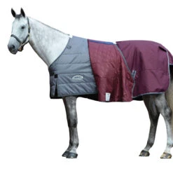 Weatherbeeta Comfitec Plus Dynamic II Combo Neck Midweight Horse Turnout Rug 7 Weatherbeeta Comfitec Plus Dynamic II Combo Neck Midweight Horse Turnout Rug -Pro Rider Shop k8febb1f0e9b87c245eb5e9da09b6fdab