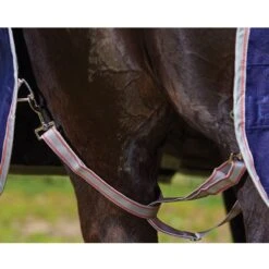 Weatherbeeta Comfitec Essential Combo Neck Heavy Turnout Rug (Navy/Silver/Red) 7 Weatherbeeta Comfitec Essential Combo Neck Heavy Turnout Rug (Navy/Silver/Red) -Pro Rider Shop k90cc299abce5996d8ace58a91ca00f8f