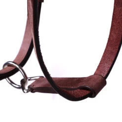 Trail Horse Riding Bridle / Halter And Reins Escape - Brown 31 Trail Horse Riding Bridle / Halter And Reins Escape - Brown -Pro Rider Shop k9473251440898b6b9b71f0a4559d5d19