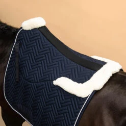 Horse Dressage Padded Saddle Cloth 900 -Pro Rider Shop k94c8d3b8fa7754991508871a2d2ed246