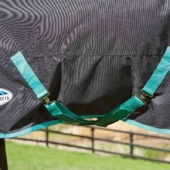 Weatherbeeta GreenTec Detachable Neck Midweight Horse Turnout Rug (Black/Bottle Green) -Pro Rider Shop k95d9c16e507ed90ae9510a8b4f1b5ad8