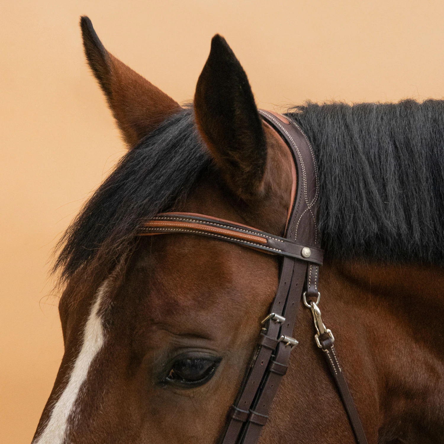 Horse & Pony Leather Bridle With French Noseband 580 12 Horse & Pony Leather Bridle With French Noseband 580 - Image 12