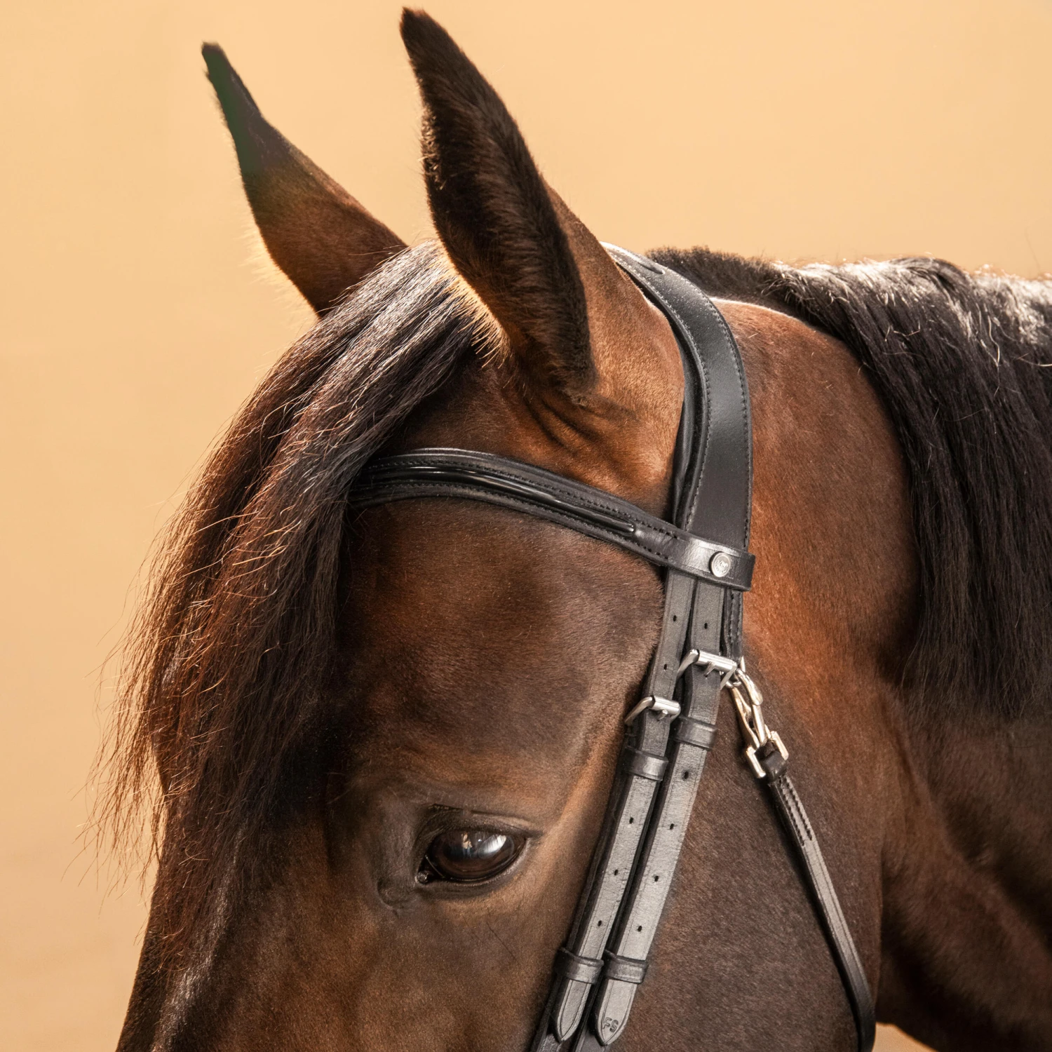 Horse Riding Glossy Leather Bridle With French Noseband For Horse & Pony 580 5 Horse Riding Glossy Leather Bridle With French Noseband For Horse & Pony 580 - Image 5