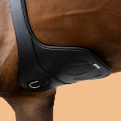 Horse Riding Leather Stud Girth For Horse And Pony 900 21 Horse Riding Leather Stud Girth For Horse And Pony 900 -Pro Rider Shop k9e8e69e615b88d0718d4b63a33f43669