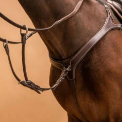 5-Point Hunting Martingale For Horse & Pony 11 5-Point Hunting Martingale For Horse & Pony -Pro Rider Shop ka1b4c7b3442b229a58cb594ccec594fc