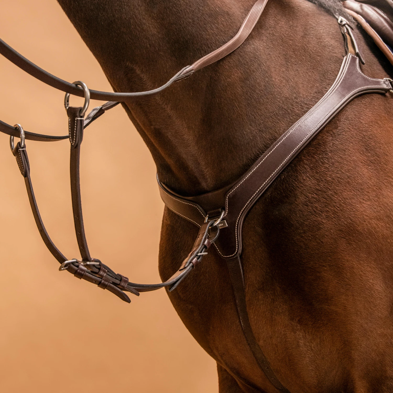 5-Point Hunting Martingale For Horse & Pony 3 5-Point Hunting Martingale For Horse & Pony - Image 3