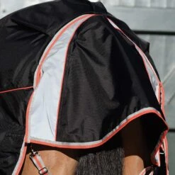 Weatherbeeta Comfitec Premier Therapy Tec Detachable Neck Horse Turnout Rug 7 Weatherbeeta Comfitec Premier Therapy Tec Detachable Neck Horse Turnout Rug -Pro Rider Shop ka1d26b2665f492e5cacae6527c6de5be