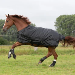 Waterproof Horse Rug 1000D Allweather 50 -Pro Rider Shop kaf182df9c8799b38a7a431edf8a6c42c