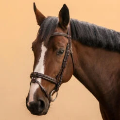 Horse Riding Glossy Leather Bridle With French Noseband For Horse & Pony 580 24 Horse Riding Glossy Leather Bridle With French Noseband For Horse & Pony 580 -Pro Rider Shop kaff12ea4164103fc44030068445580c4