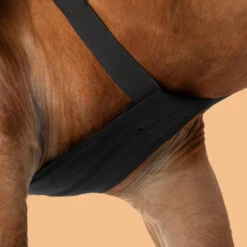 Horse Riding Shoulder Guard For Horse & Pony -Pro Rider Shop kb229e4268fece8c0278de78334d846af