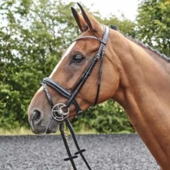 Barton Bling Flash Bridle With Rubber Reins 15 Barton Bling Flash Bridle With Rubber Reins -Pro Rider Shop kb273a813573699ccd91c9b5890e276c5