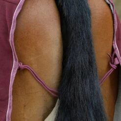 Weatherbeeta StandardNeck Sherpa Fleece Horse Cooler Rug (Maroon/White) 10 Weatherbeeta StandardNeck Sherpa Fleece Horse Cooler Rug (Maroon/White) -Pro Rider Shop kb31b8102e3c88c079802415a76c208bb