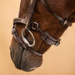 Horse Riding Leather Bridle With French Noseband For Horse & Pony 900 -Pro Rider Shop kb642adbc3767a588ed84322330f71656