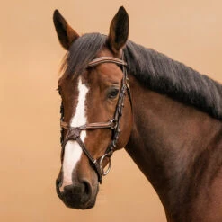 Horse Riding Crossed-Noseband Leather Bridle For Horse And Pony 580 25 Horse Riding Crossed-Noseband Leather Bridle For Horse And Pony 580 -Pro Rider Shop kb739e3538586e672964b0a1550e1440c