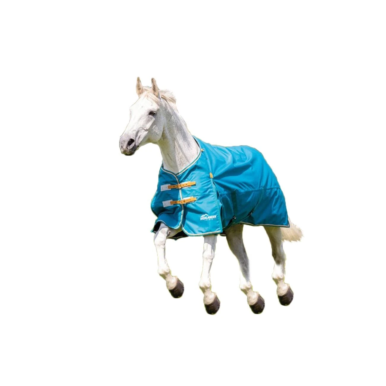 Highlander Original Lite StandardNeck Horse Turnout Rug (Teal) 1 Highlander Original Lite StandardNeck Horse Turnout Rug (Teal)