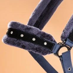 Horse Riding Halter And Leadrope Set For Horse And Pony 9 Horse Riding Halter And Leadrope Set For Horse And Pony -Pro Rider Shop kbb10c7a5f71b59197334e20ba2953d2c