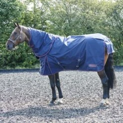 Rastrick 250G Combo Turnout Rug 8 Rastrick 250G Combo Turnout Rug -Pro Rider Shop kbbb3f6b94d98c701bb96dd85708e59b3