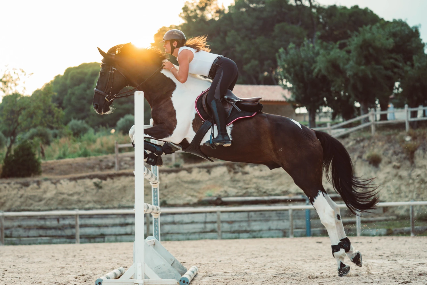 Women's Horse Riding Lightweight Mesh Jodhpurs 500 11 Women's Horse Riding Lightweight Mesh Jodhpurs 500 - Image 11