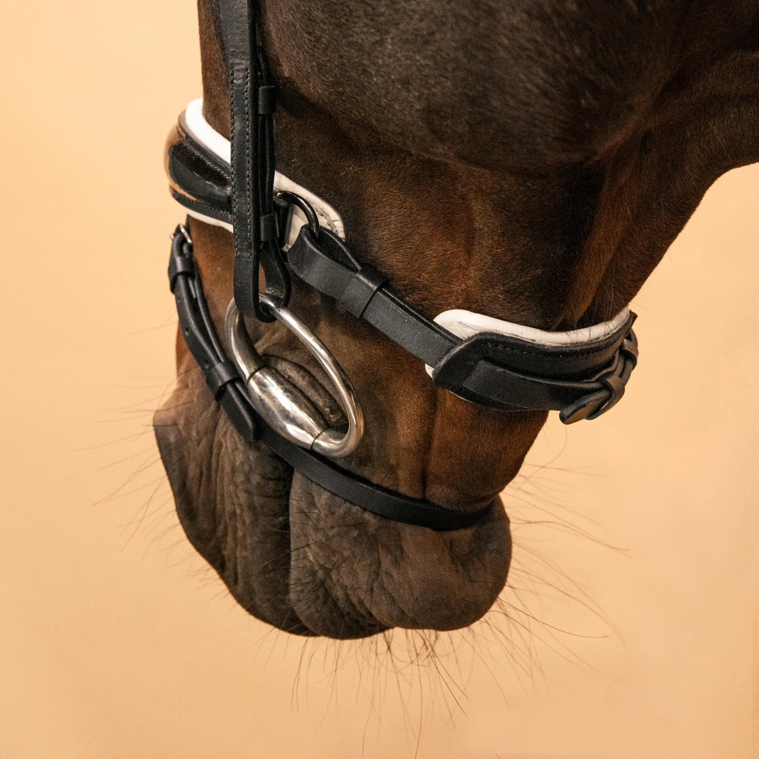 Horse & Pony Dressage Bridle 900 9 Horse & Pony Dressage Bridle 900 - Image 9