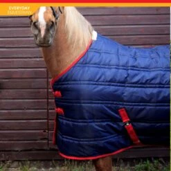 Thomas 250G Stable Rug 7 Thomas 250G Stable Rug -Pro Rider Shop kbf5cdd2a443f801927c58bb471efedcc