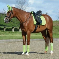 Weatherbeeta Prime Horse Dressage Saddlepad (Lime Green) -Pro Rider Shop kc481211f0da82e07fc475544061ddd59