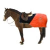 Horse Riding Exercise Rug